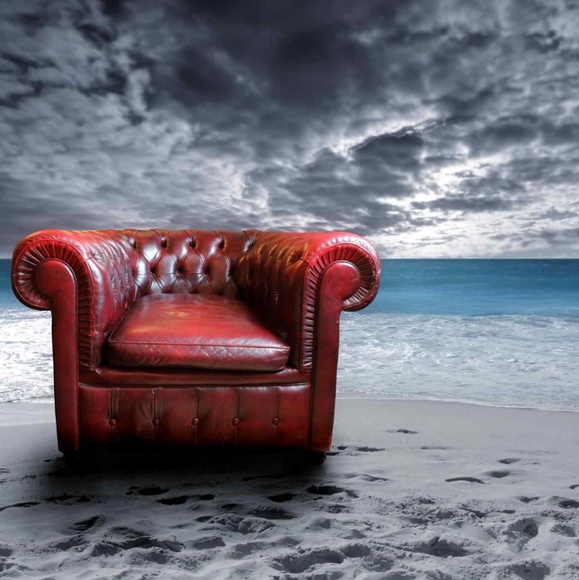 Meet your Posher, Amos - Picture 5 of 8